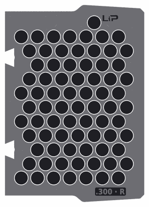 .300 · R insert half, top view